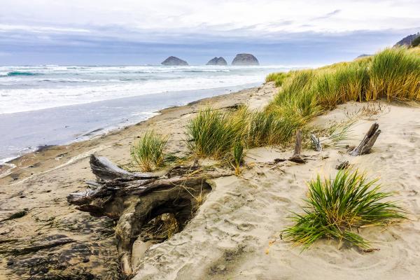 Oceanside's Three Arch Rocks