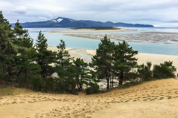 Oregon Coast Area Guide | Shore Thing Vacation Rentals