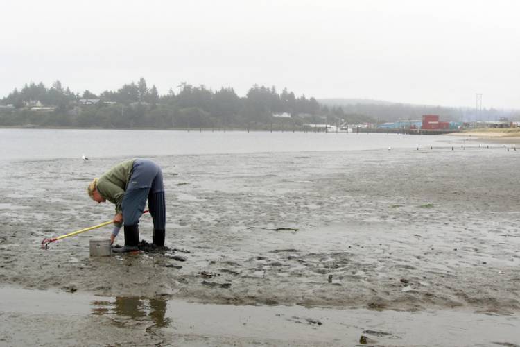 A man clamming on the Oregon coast on a rainy day