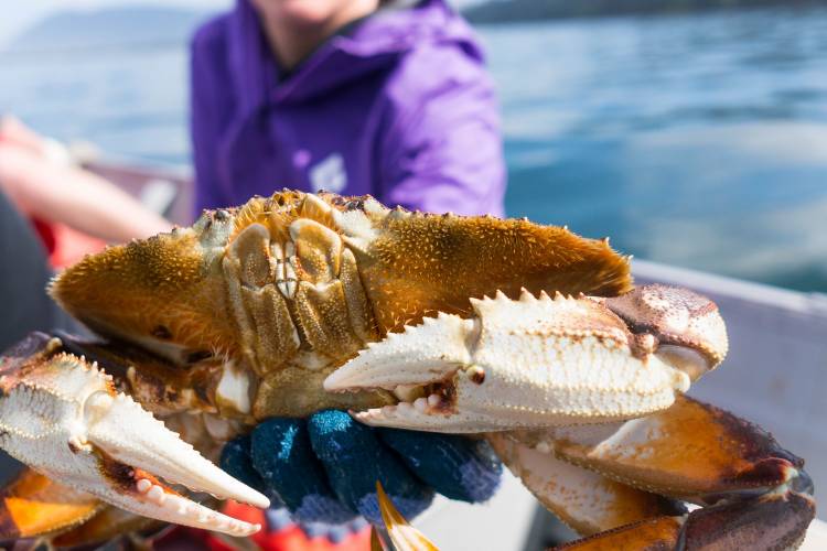 A child holds a crab on a fishing charter off the oregon coast