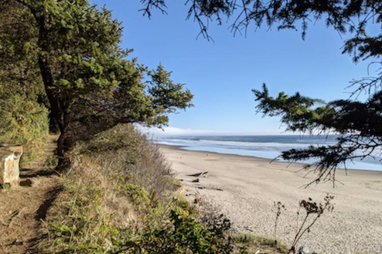 Cape Lookout State Park Beach, Oregon