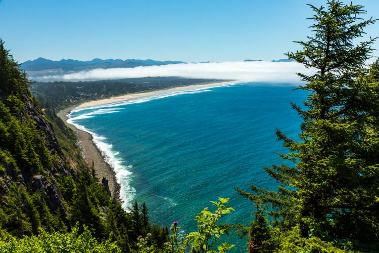 overlooking the ocean from a high cliff in Oregon