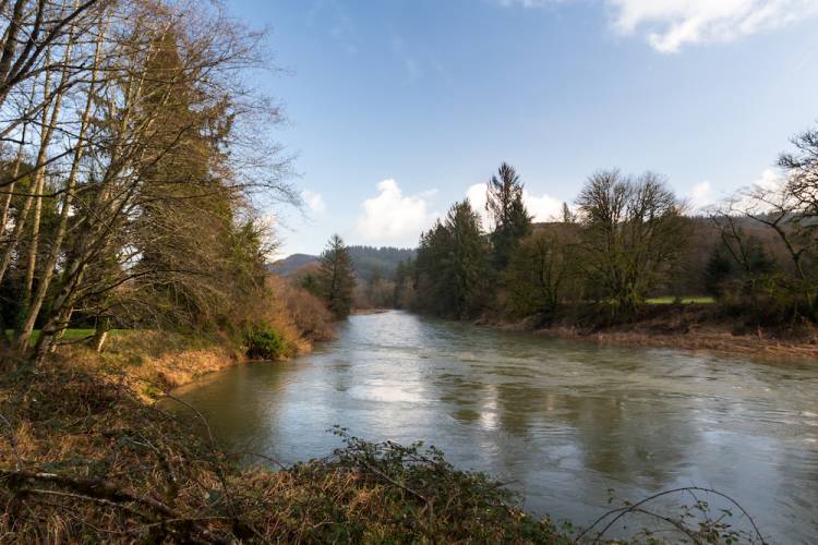 Nestucca River in Oregon