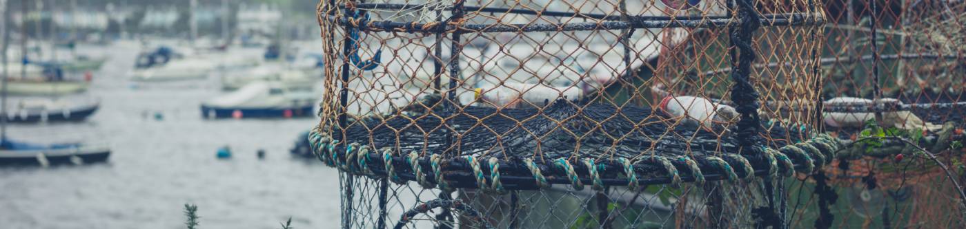 Crabbing pots on a dock