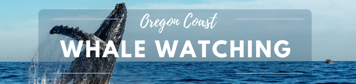 Oregon Coast Whale Watching